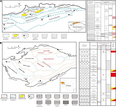 Geochemical Comparison of the Deep Gases From the Sichuan and Tarim Basins, China